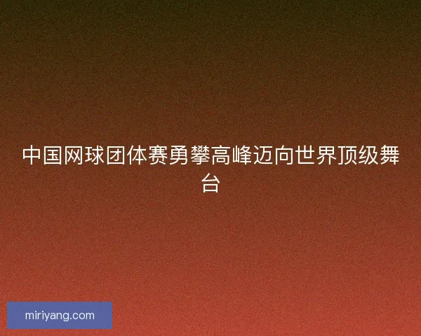 中国网球团体赛勇攀高峰迈向世界顶级舞台